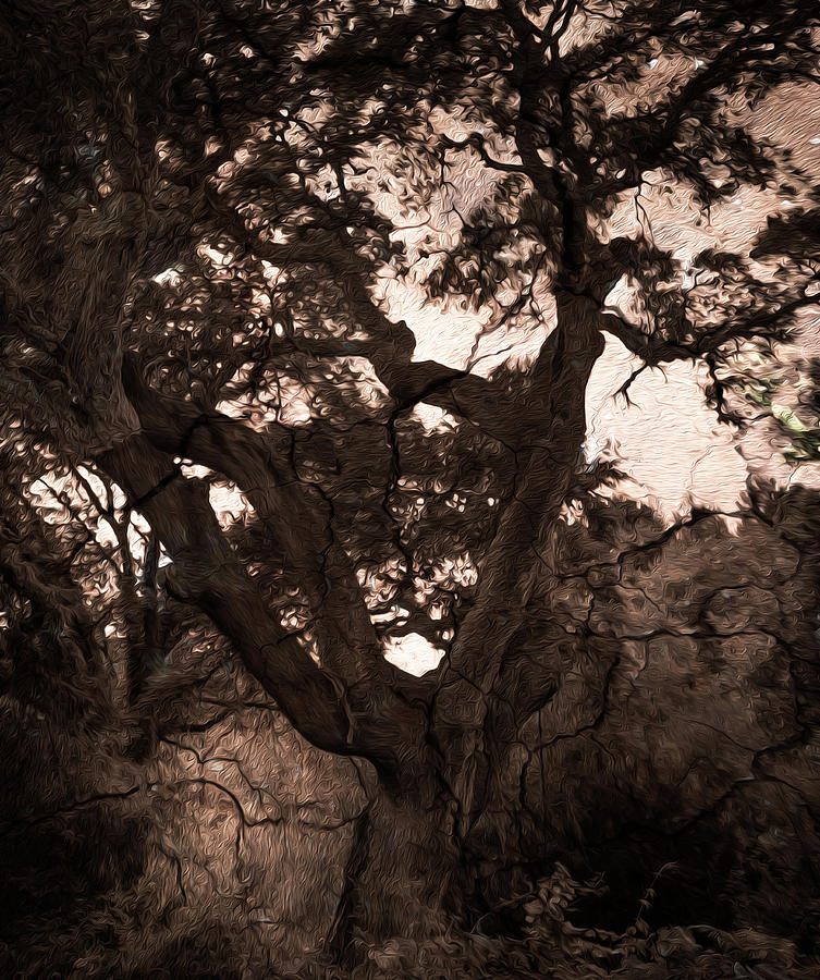 Tree Photograph - Vintage life by Paulo Viana