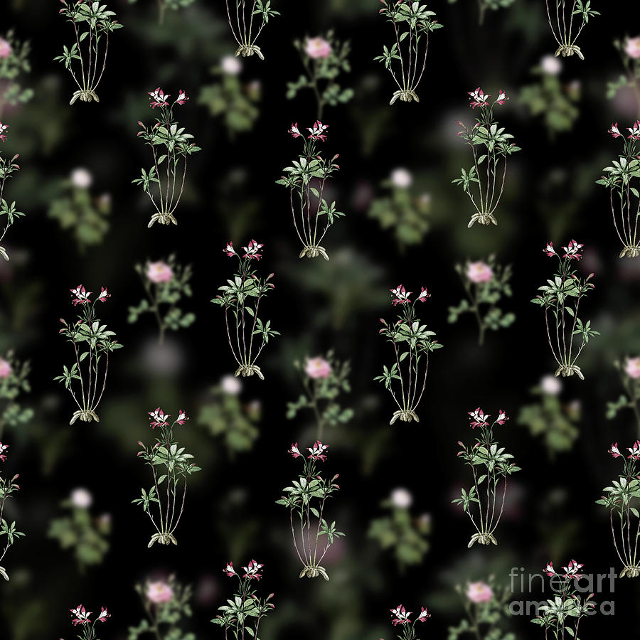 Vintage Lily of the Incas Floral Garden Pattern on Black n.2109 Mixed Media by Holy Rock Design