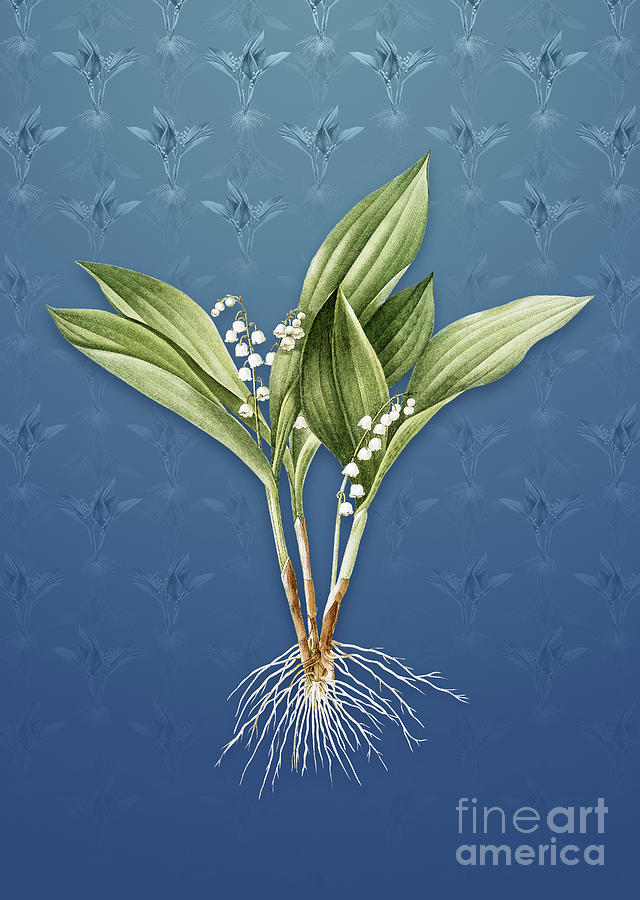 Vintage Mixed Media - Vintage Lily of the Valley Botanical Art on Bahama Blue Pattern n.0967 by Holy Rock Design