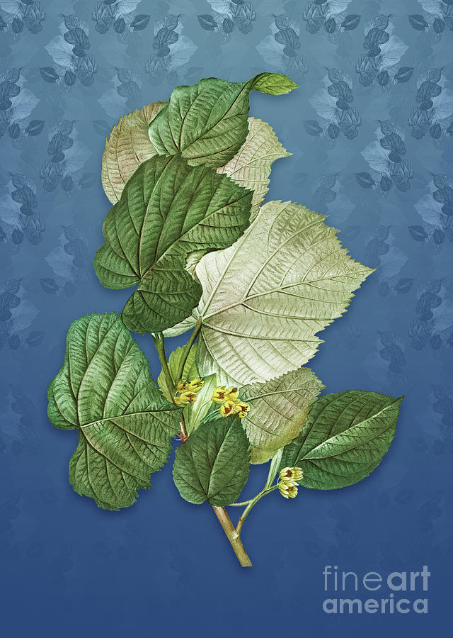 Vintage Linden Tree Botanical Art on Bahama Blue Pattern n.1472 Mixed Media by Holy Rock Design