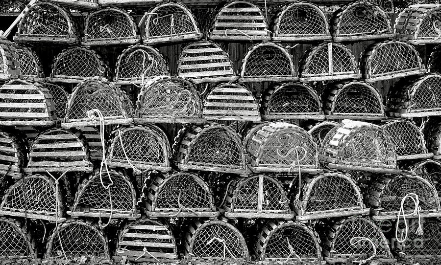 Vintage Lobster Traps Photograph by Olivier Le Queinec