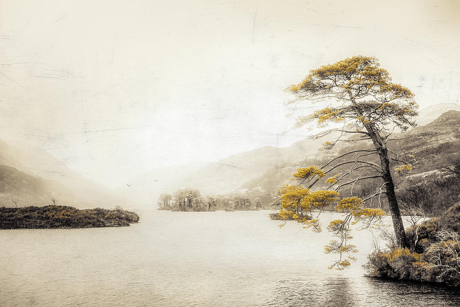Vintage Loch Eilt Photograph by Philippe Sainte-Laudy
