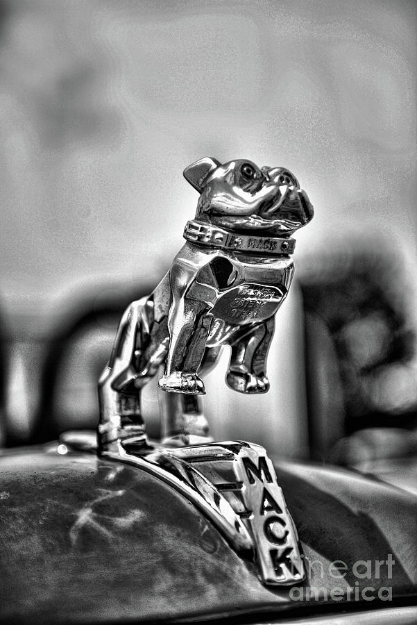 Truck Photograph - Vintage MACK the Bulldog in black and white by Paul Ward