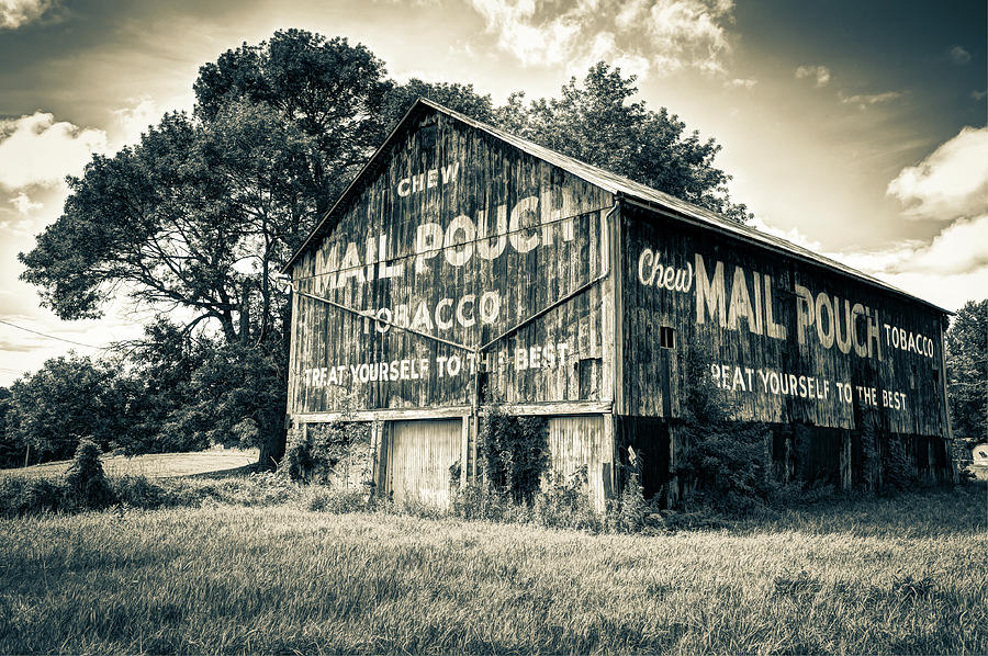 Landscape Photograph - Vintage Mail Pouch Tobacco Barn - Sepia Monochrome Edition by Gregory Ballos