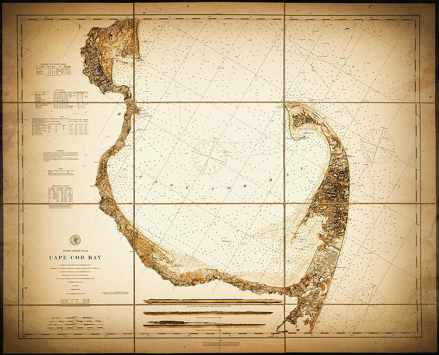 Vintage Photograph - Vintage Map Cape Cod Bay Massachusetts 1879 Sepia  by Carol Japp