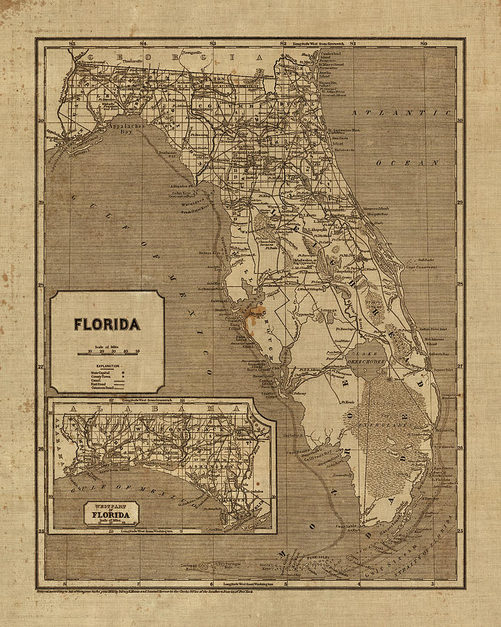 Florida Map Drawing - Vintage Map of Florida, 1840s by Blue Monocle