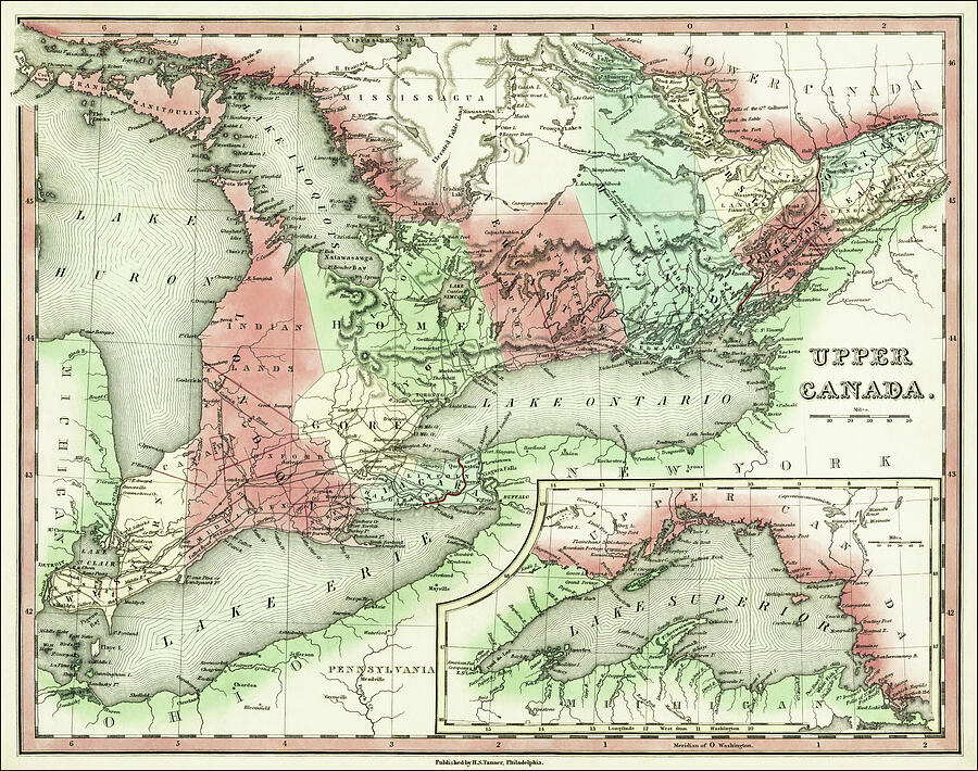 Vintage Map Upper Canada 1836 Drawing by Carol Japp Vintage Map Upper Canada 1836 Drawing by Carol Japp