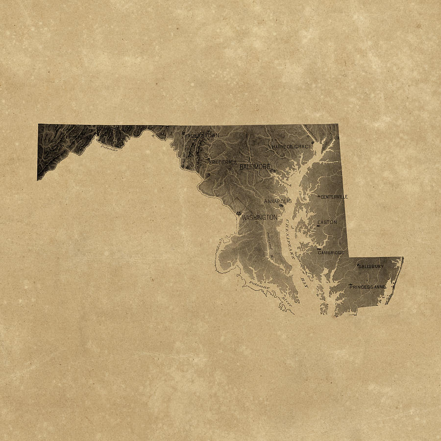 Vintage Maryland Relief Map Drawing by Blue Monocle