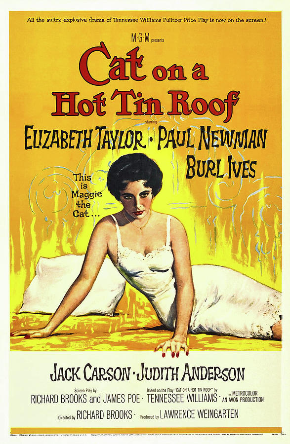 Elizabeth Taylor Mixed Media - Vintage Movie Poster - Cat on a Hot Tin Roof 1958 by Mountain Dreams