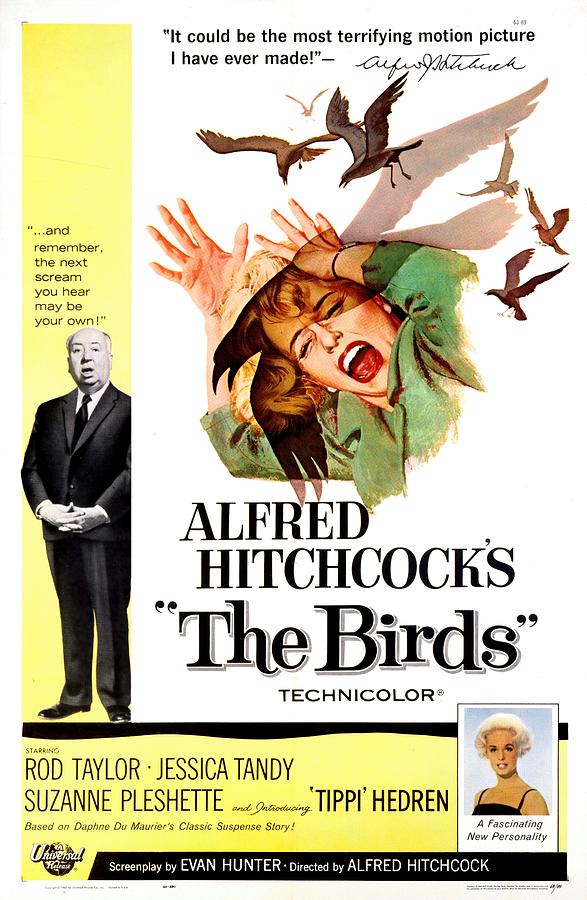 Vintage Movie Poster - The Birds 1963 Mixed Media by Universal Pictures