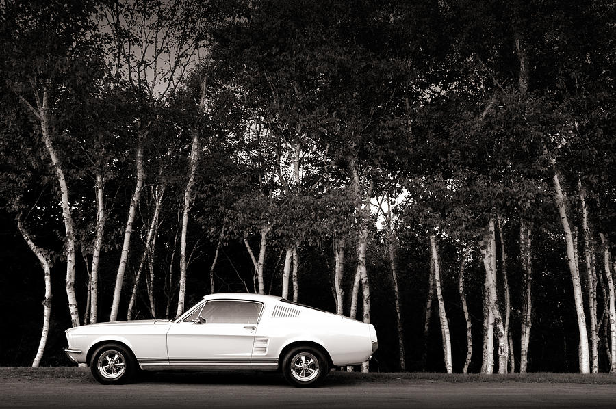 Vintage Muscle Car Photograph by Shaunl