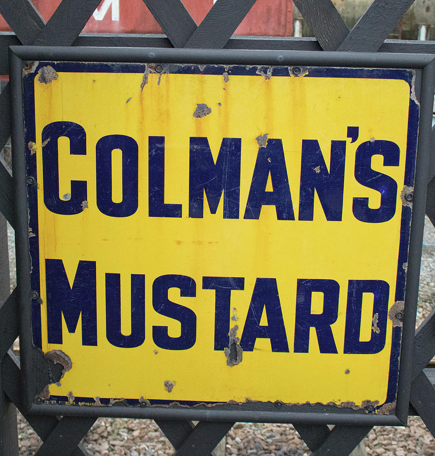 Vintage Photograph - Vintage Mustard by Martin Newman