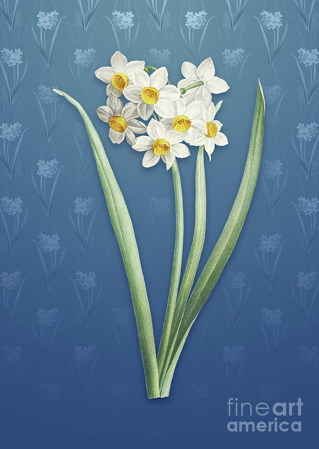 Vintage Narcissus Easter Flower Botanical Art on Bahama Blue Pattern n.1494 Mixed Media by Holy Rock Design