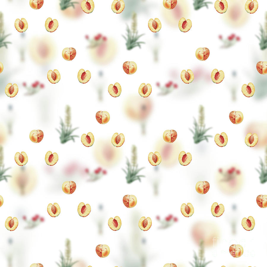 Vintage Nectarine Floral Garden Pattern on White n.2104 Mixed Media by Holy Rock Design