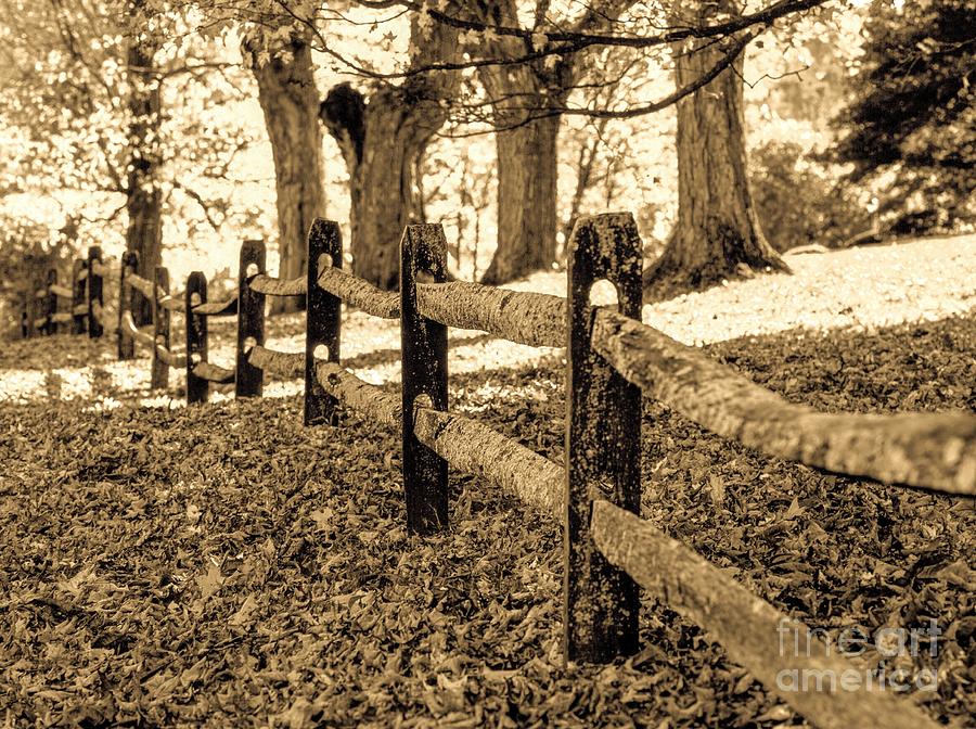 Vintage New England split-rail fence Photograph by Michael McCormack