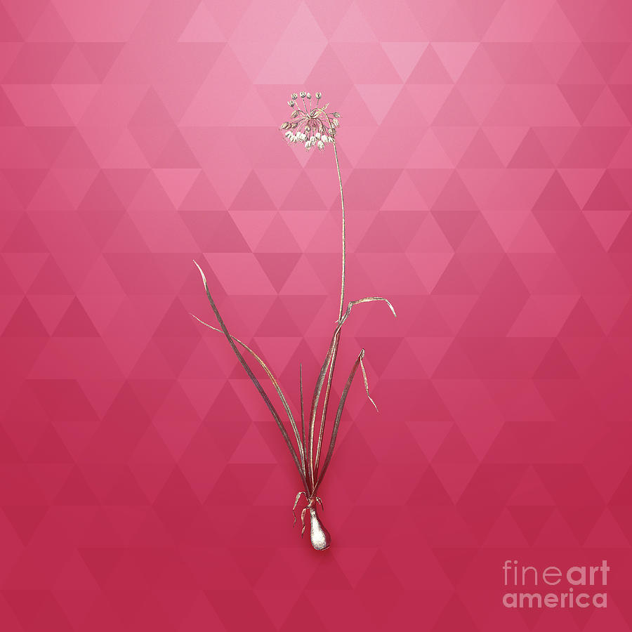 Vintage Nodding Onion in Gold on Viva Magenta Mixed Media by Holy Rock Design