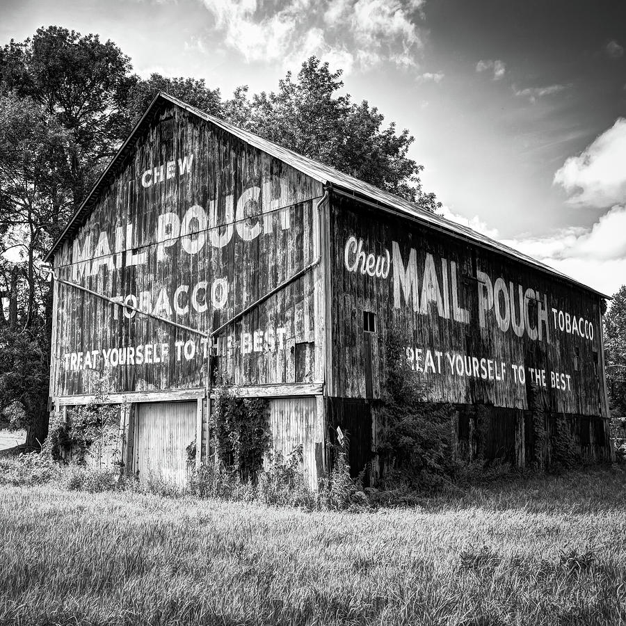 Black And White Photograph - Vintage Ohio Tobacco Mail Pouch Barn - Black and White 1x1 by Gregory Ballos