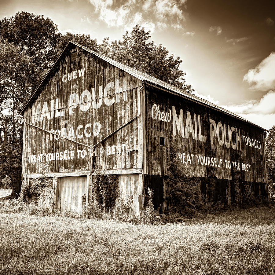 Landscape Photograph - Vintage Ohio Tobacco Mail Pouch Barn - Sepia 1x1 by Gregory Ballos