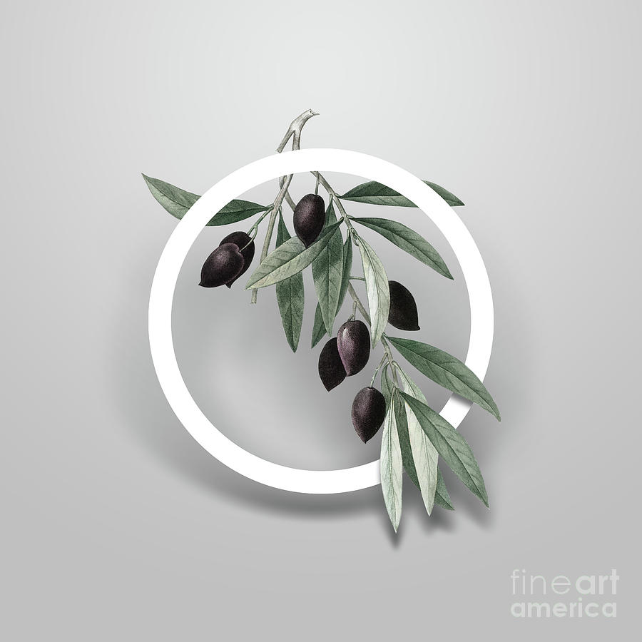 Vintage Olive Tree Branch Minimalist Floral Geometric Circle Art N.667 Painting by Holy Rock Design