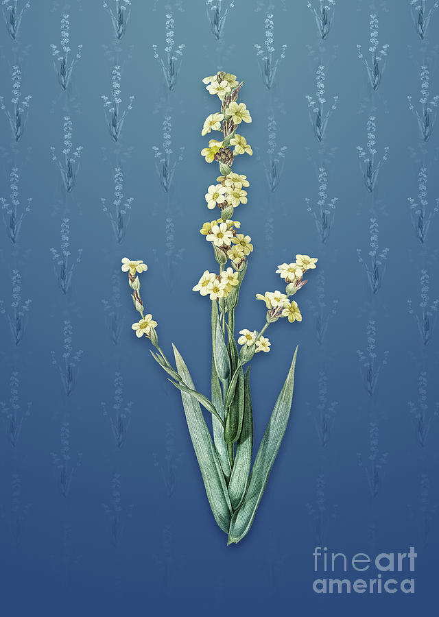 Vintage Pale Yellow Eyed Grass Botanical Art on Bahama Blue Pattern n.1344 Mixed Media by Holy Rock Design