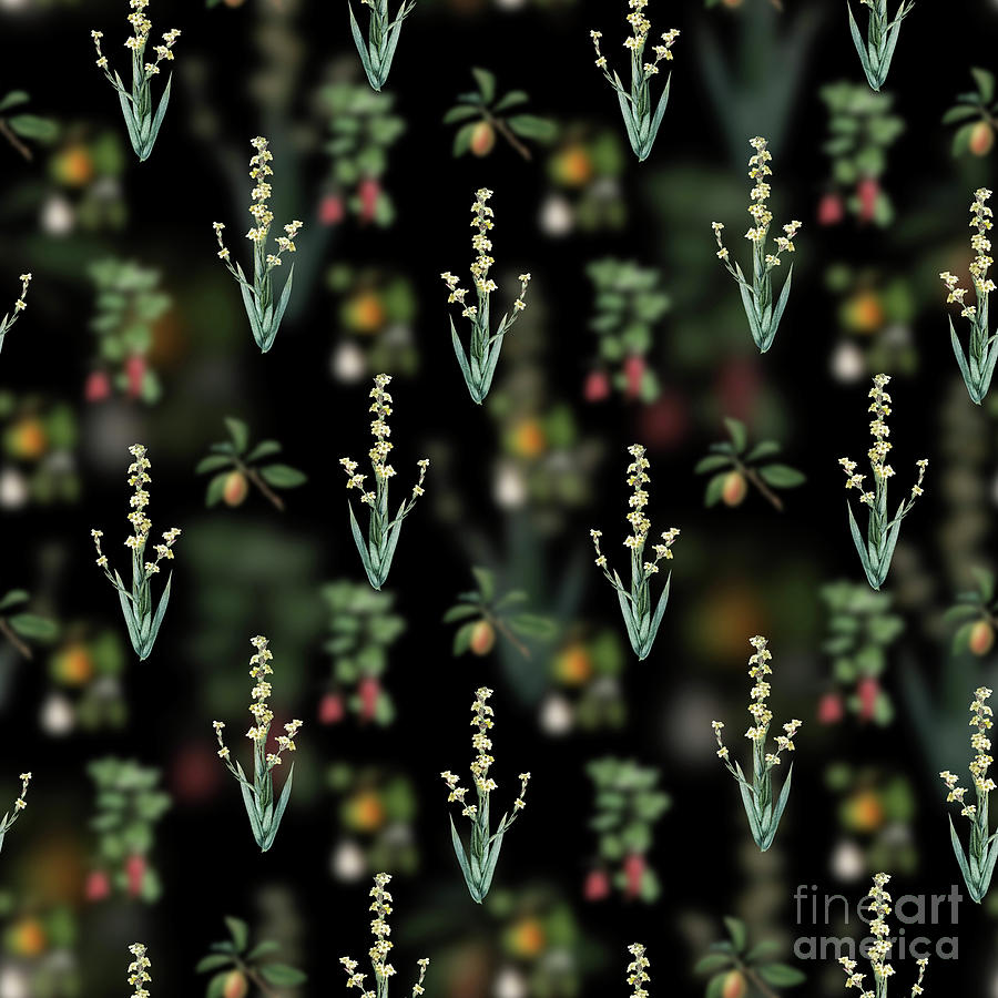 Vintage Pale Yellow Eyed Grass Floral Garden Pattern on Black n.2125 Mixed Media by Holy Rock Design
