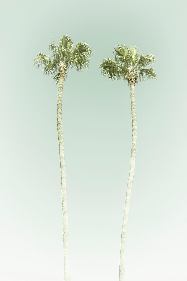 Nature Photograph - Vintage Palm Trees   by Melanie Viola
