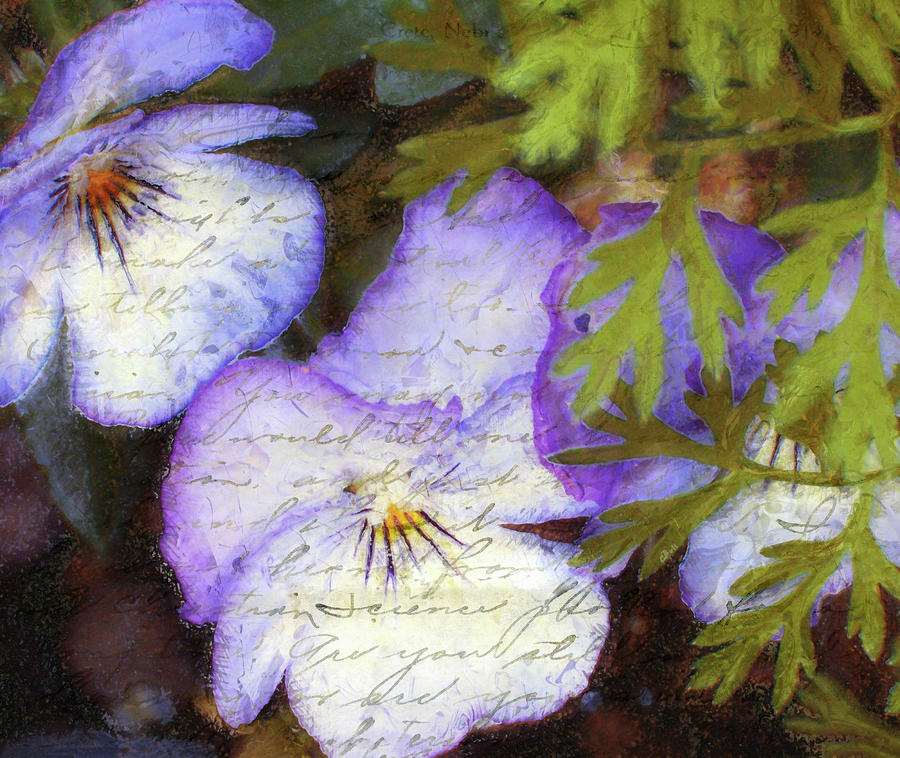 Nature Mixed Media - Vintage Pansies by Claire Bull