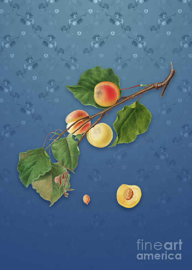 Vintage Peach Botanical Art on Bahama Blue Pattern n.1248 Mixed Media by Holy Rock Design