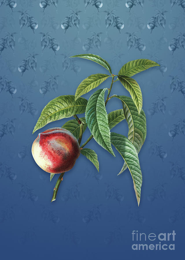 Vintage Peach Botanical Art on Bahama Blue Pattern n.1444 Mixed Media by Holy Rock Design