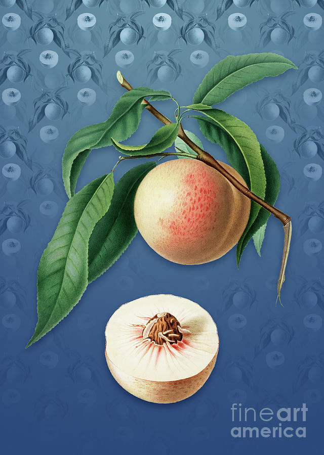 Vintage Peach Botanical Art on Bahama Blue Pattern n.1448 Mixed Media by Holy Rock Design