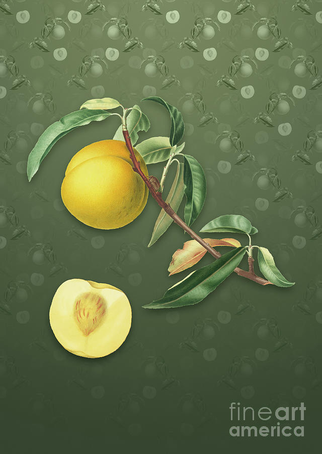 Vintage Peach Botanical Art on Lunar Green Pattern n.0968 Mixed Media by Holy Rock Design