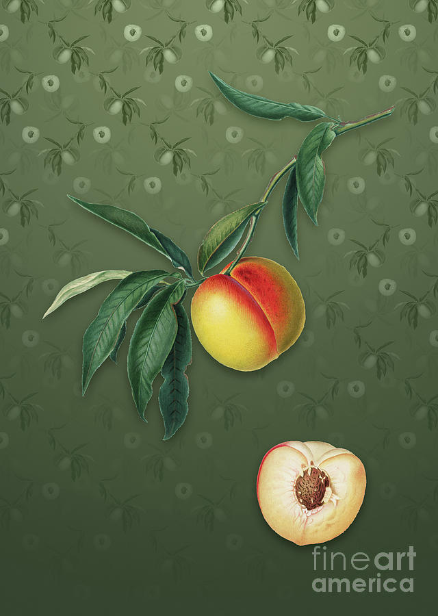 Vintage Peach Botanical Art on Lunar Green Pattern n.1148 Mixed Media by Holy Rock Design