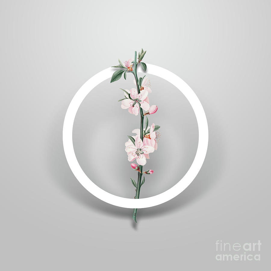 Vintage Peach Flower Minimalist Floral Geometric Circle Art N.652 Painting by Holy Rock Design