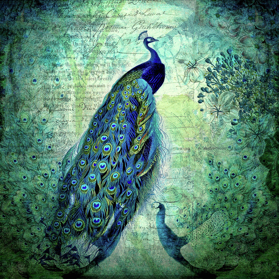 Vintage Peacocks and Botanicals Collage Mixed Media by Peggy Collins