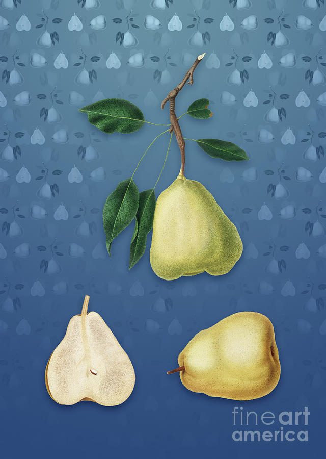 Vintage Mixed Media - Vintage Pear Botanical Art on Bahama Blue Pattern n.0773 by Holy Rock Design