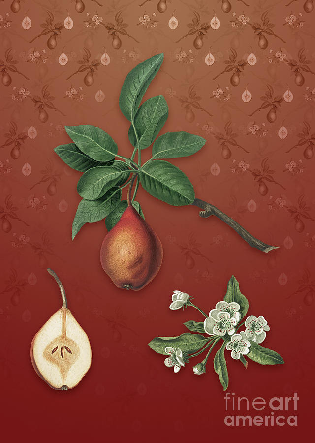 Vintage Mixed Media - Vintage Pear Botanical Art on Falu Red Pattern n.0971 by Holy Rock Design