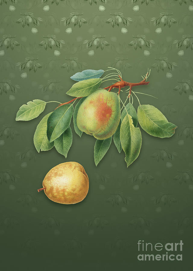 Vintage Mixed Media - Vintage Pear Botanical Art on Lunar Green Pattern n.1232 by Holy Rock Design