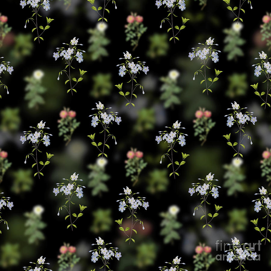 Vintage Mixed Media - Vintage Phlox Floral Garden Pattern on Black n.1077 by Holy Rock Design