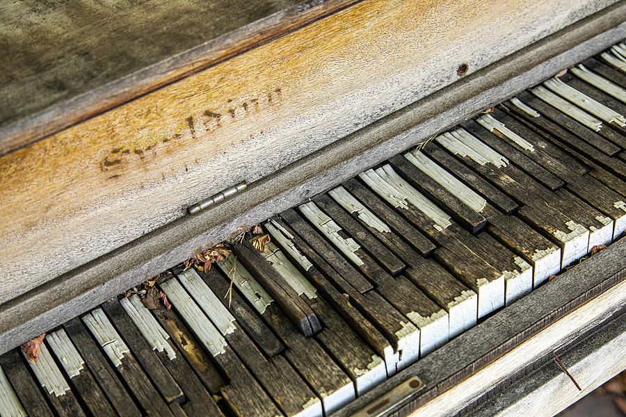 Vintage Piano Keys Photograph by Steven Bateson - Fine Art America