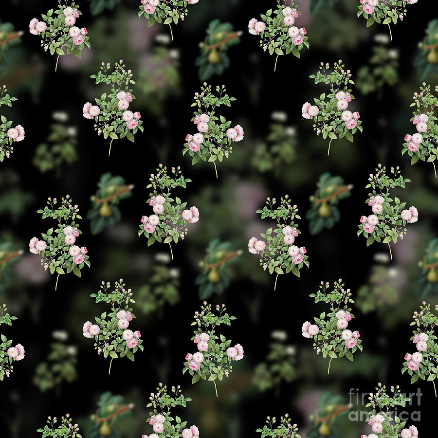 Vintage Pink Baby Roses Floral Garden Pattern on Black n.2121 Mixed Media by Holy Rock Design