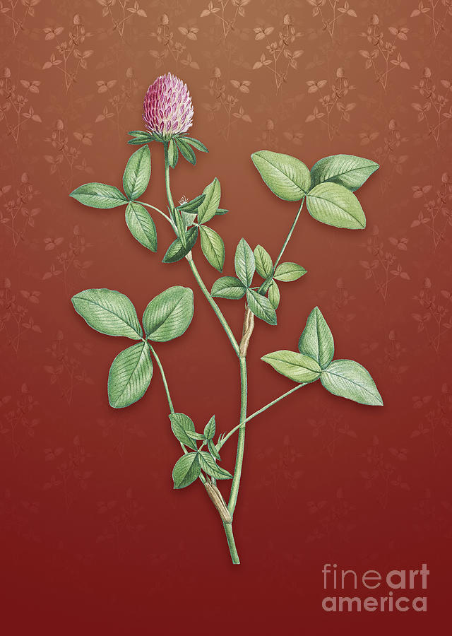 Vintage Pink Clover Botanical Art on Falu Red Pattern n.0884 Mixed Media by Holy Rock Design