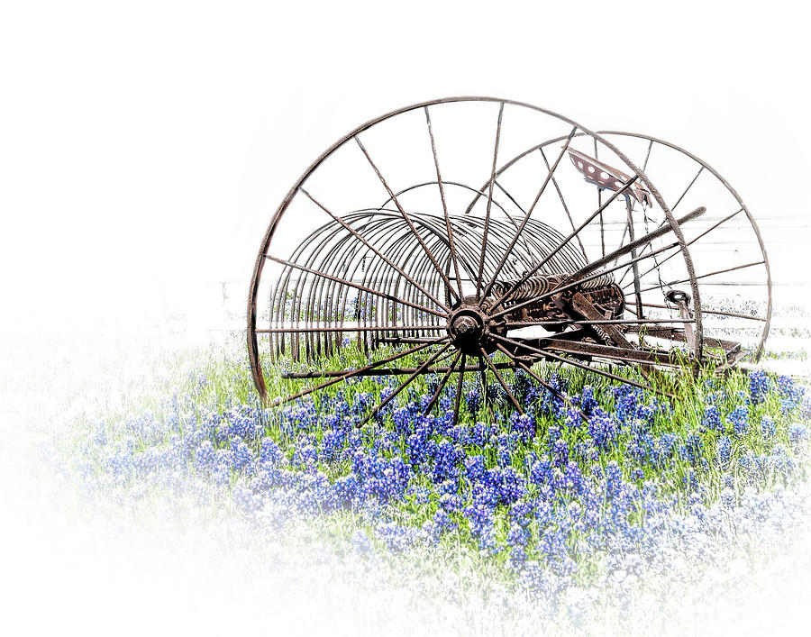 Vintage Plow and Spring Bluebonnets Photograph by David and Carol Kelly