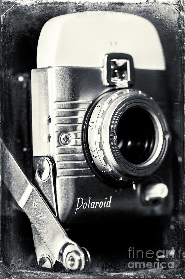 Vintage Polaroid Photograph by John Rizzuto