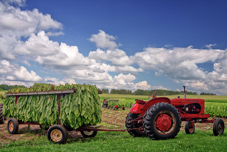 Vintage Power, Loaded Up - Veum Tobacco Harvest Series 2 of 4 Photograph by Peter Herman