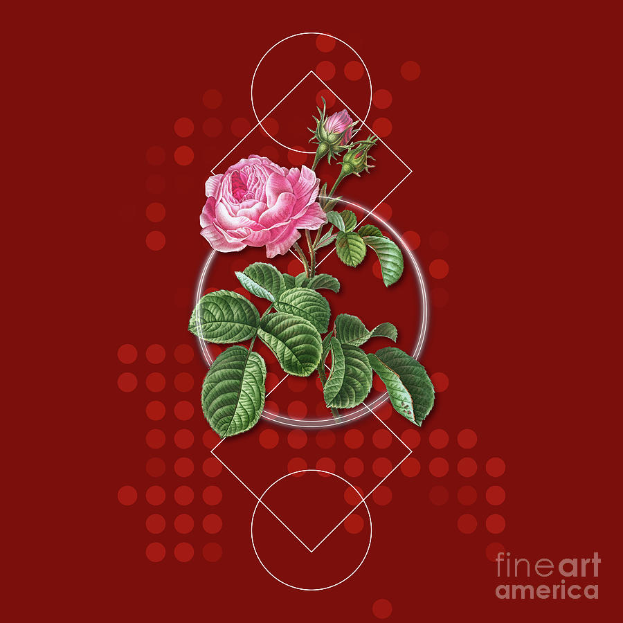 Vintage Provence Rose Botanical With Geometric Motif N.0983 Mixed Media