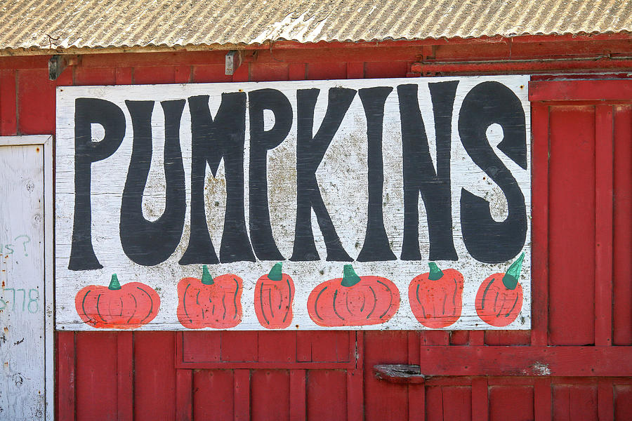 Vintage Pumpkin Farm Sign Photograph by Art Block Collections