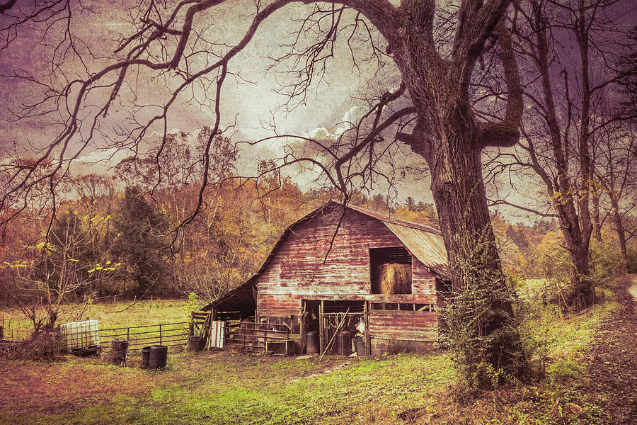 Vintage Red Barn in Autumns Embrace Photograph by Debra and Dave Vanderlaan