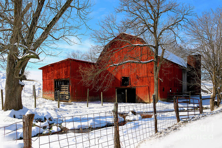 Vintage Red Barn in Snow Photograph by Shelia Hunt