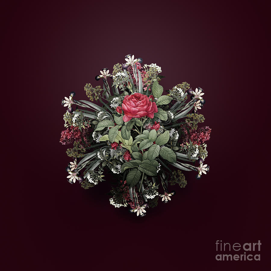 Vintage Painting - Vintage Red Gallic Rose Flower Wreath on Wine Red n.4259 by Holy Rock Design