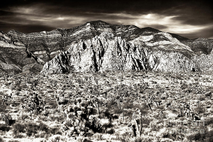Vintage Red Rock Canyon in Nevada Photograph by John Rizzuto
